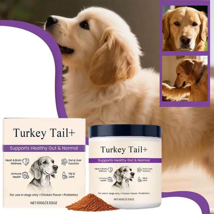 Poudre Probiotique Intestinale pour Chiens 100g Saveur Bacon Délicieuse Équilibre de la Flore