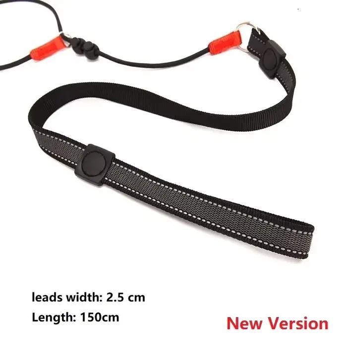 Laisse de dressage pour chien anti-étranglement 2-en-1