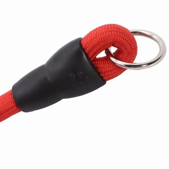 Collier de chien chaîne P