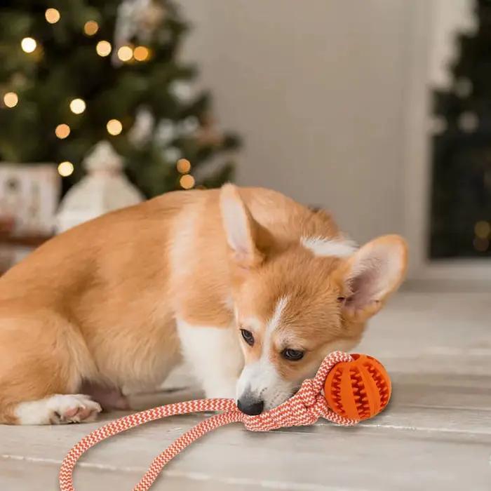 Boule de nettoyage des dents d'animaux domestiques