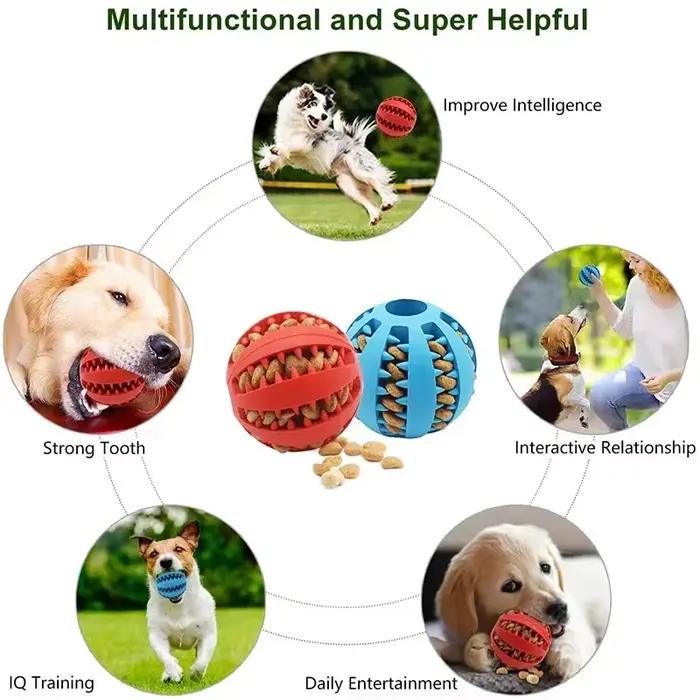 Jouets pour chiens, enrichissement des petits animaux de compagnie
