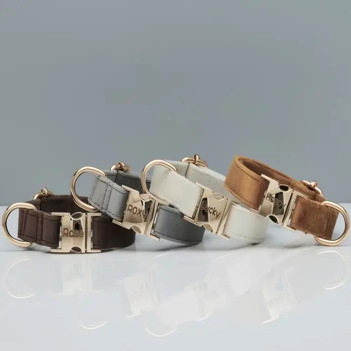 Collier pour chien, anneau de cou pour chat