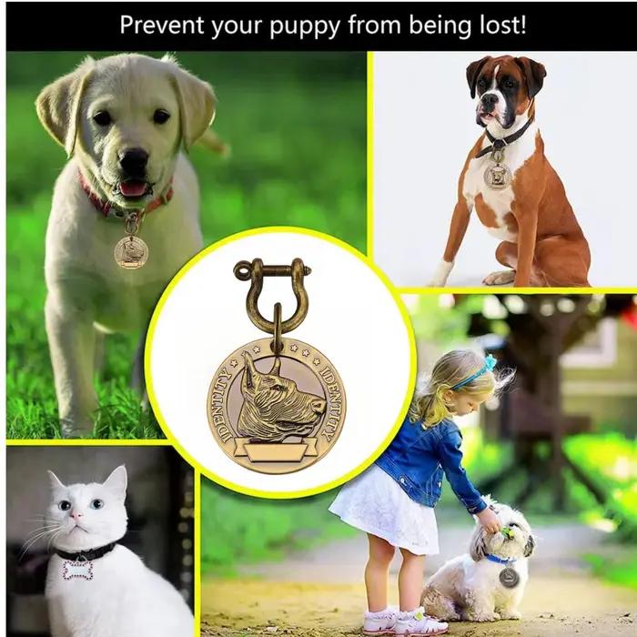 Pendentif d'identification personnalisé pour collier de chien