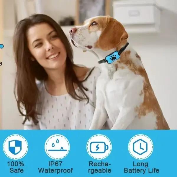 Collier de dressage anti-aboiement rechargeable pour chien