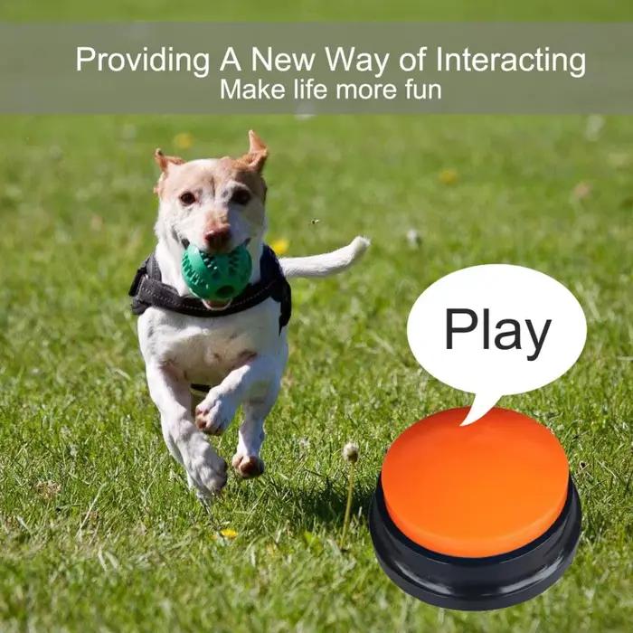 Bouton Statique de Communication pour Chien