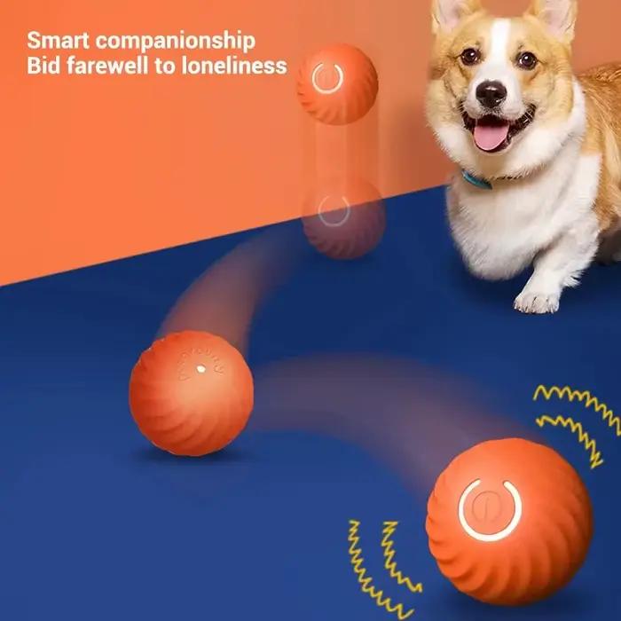 Balle roulante rebondisnoyaux à mouvement automatique pour chien