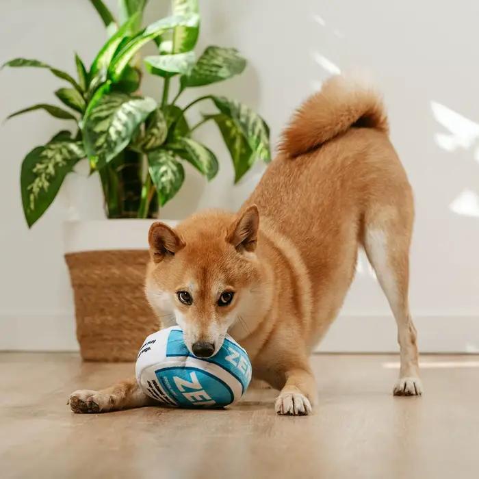 Jouet parodie pour chien Zen Pupper Deckies
