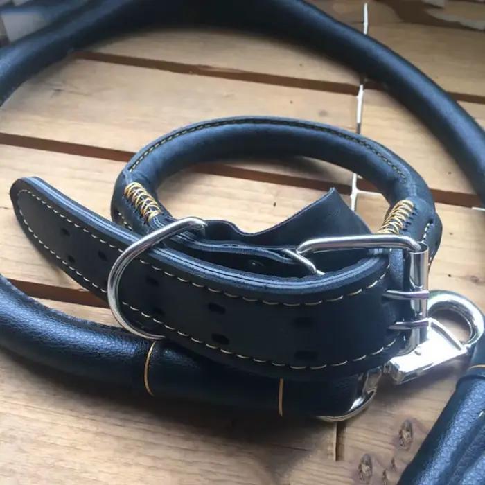 Ensemble collier et laisse en cuir véritable pour animaux de compagnie