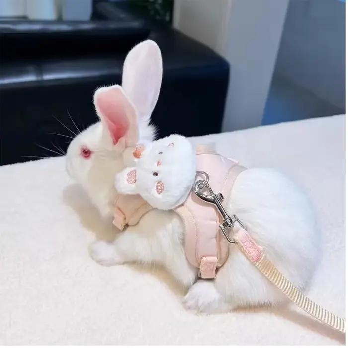 Harnais de traction réglable anti-rupture pour lapins nains aux oreilles tombantes