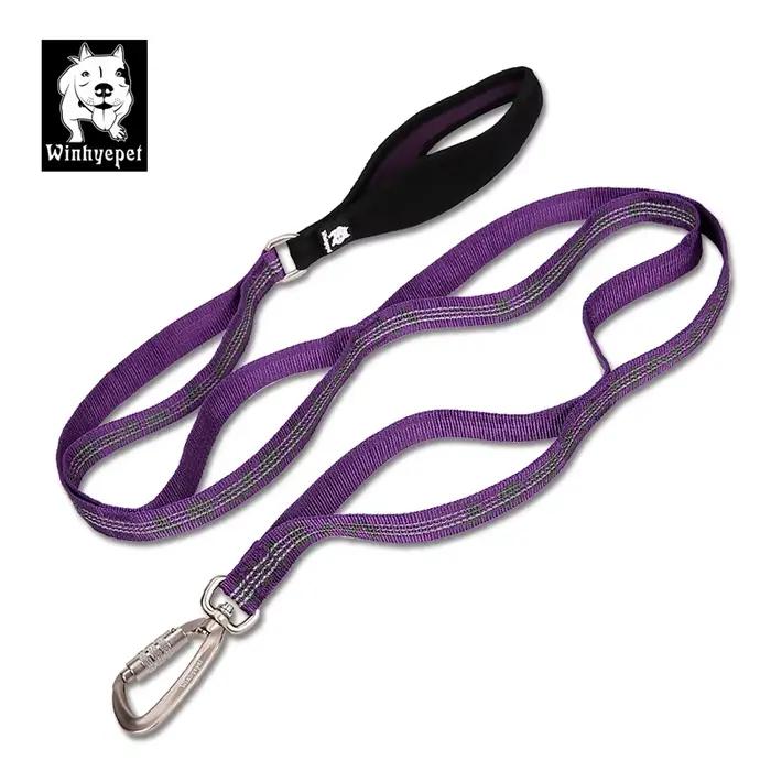 TRUELOVE laisse pour animaux de compagnie mousqueton corde de Traction 3M sangle en Nylon réfléchissante résistante
