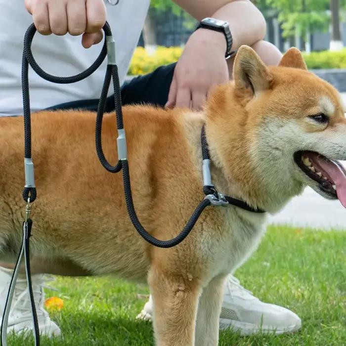 Laisse d'entraînement pour chiens sans traction