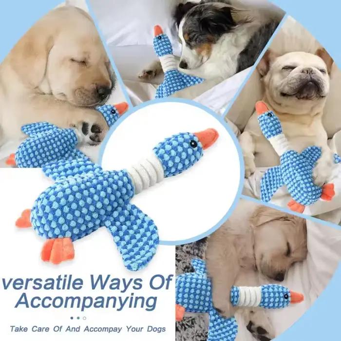 Jouets indestructibles pour chiens et chats