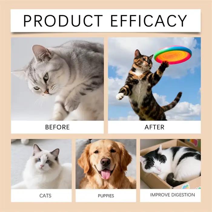 Complexe de vitamines B pour chiens et chats
