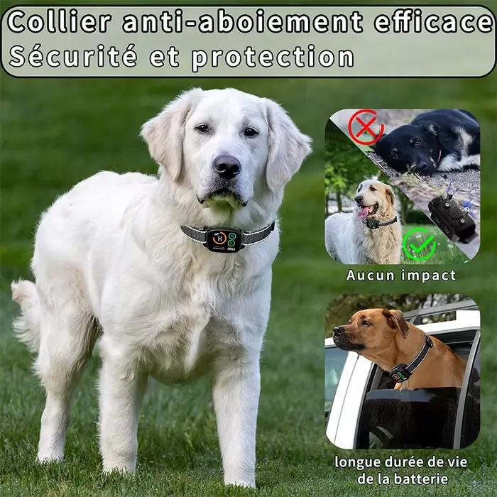 Collier d'écorce pour chien