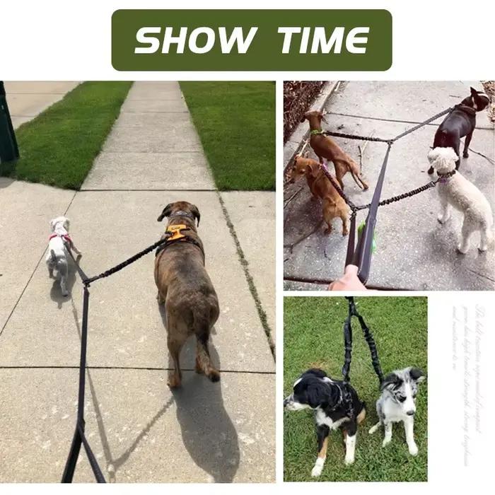 Laisses doubles pour chiens de compagnie