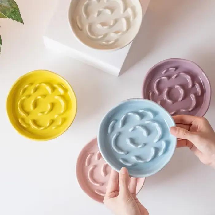 Bol de nourriture lente en céramique