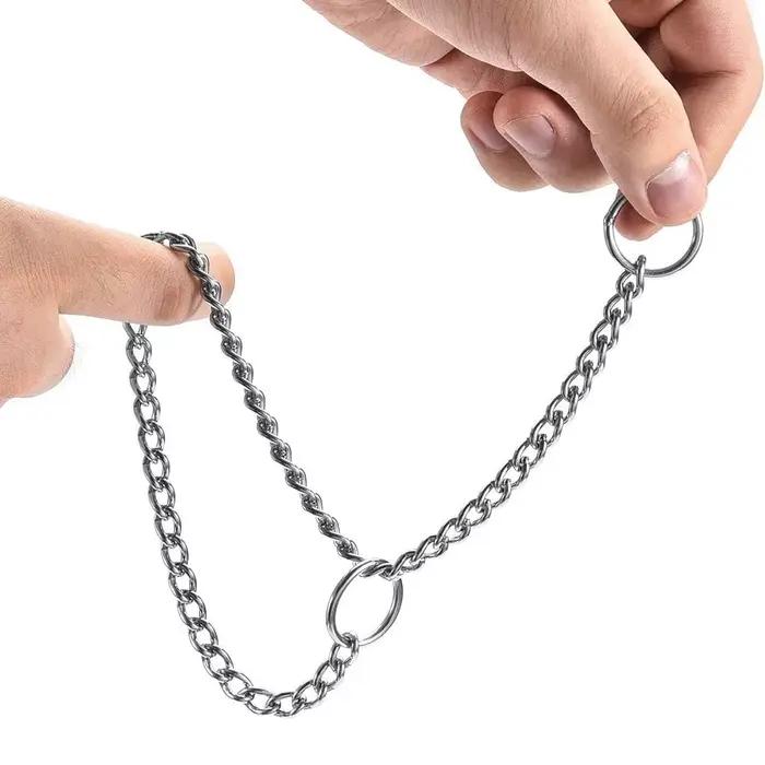 Collier de starter pour chien
