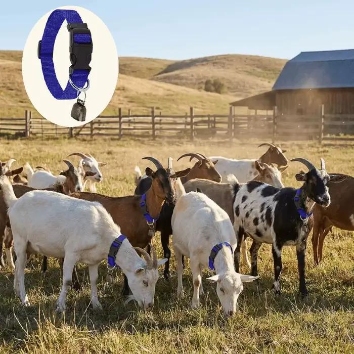 Collier réglable anti-perte pour animaux de compagnie avec boucle à dégagement rapide et clochette