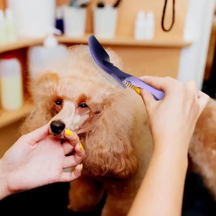 Brosse pour chien pour caniches