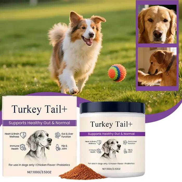 Poudre Probiotique Intestinale pour Chiens 100g Saveur Bacon Délicieuse Équilibre de la Flore
