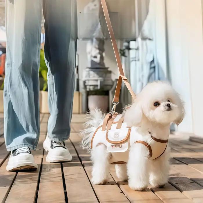 Sac à dos avec harnais de levage pour chiens