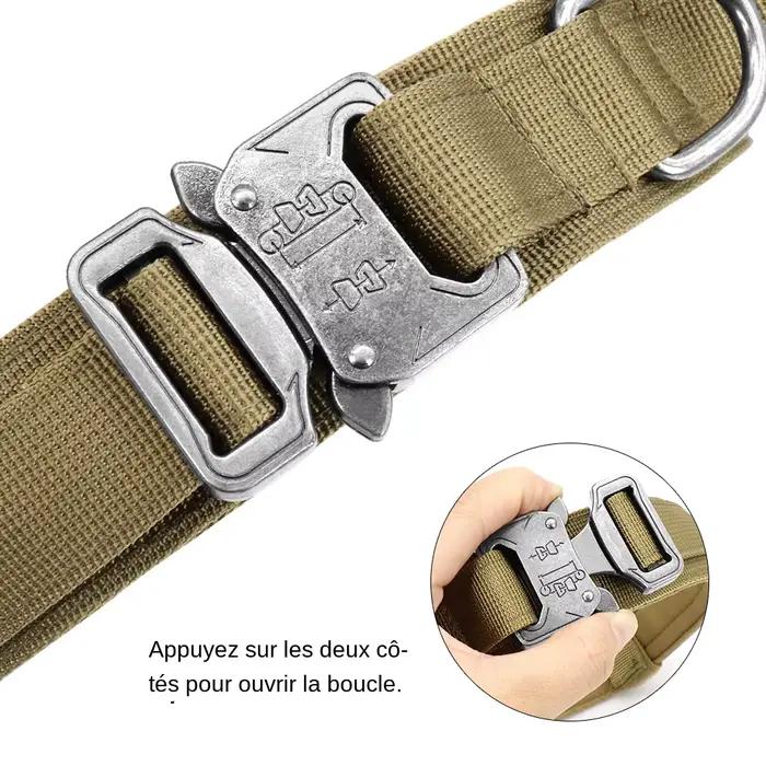 Collier tactique militaire pour chien solide
