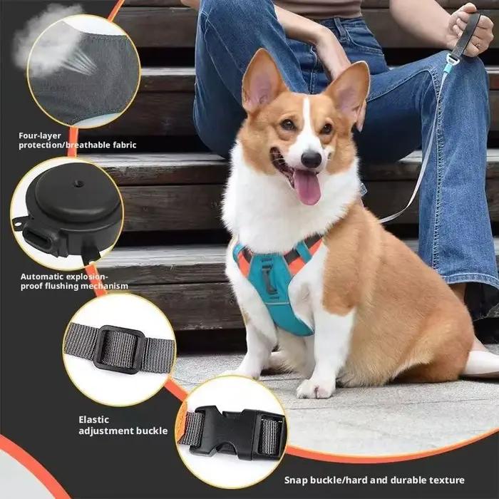 Harnais et laisse rétractable intégrés pour chien