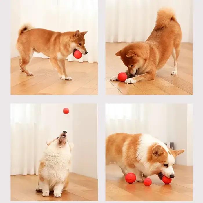 Jouet gonflable Durable pour chien