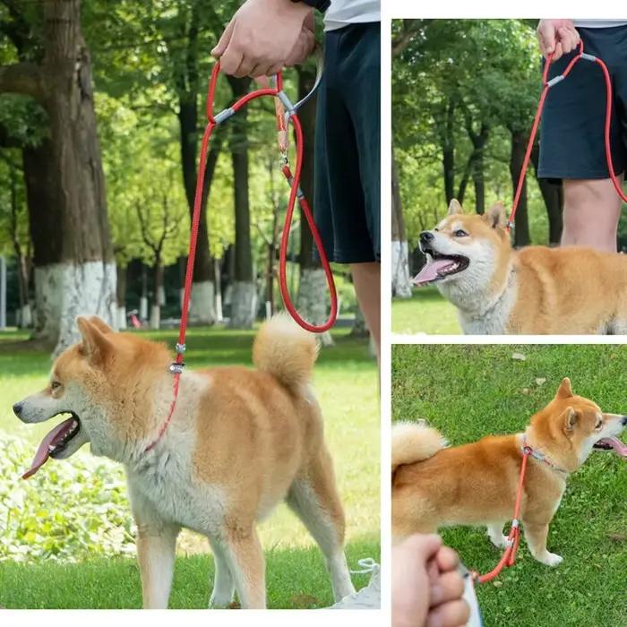 Laisse d'entraînement pour chiens sans traction