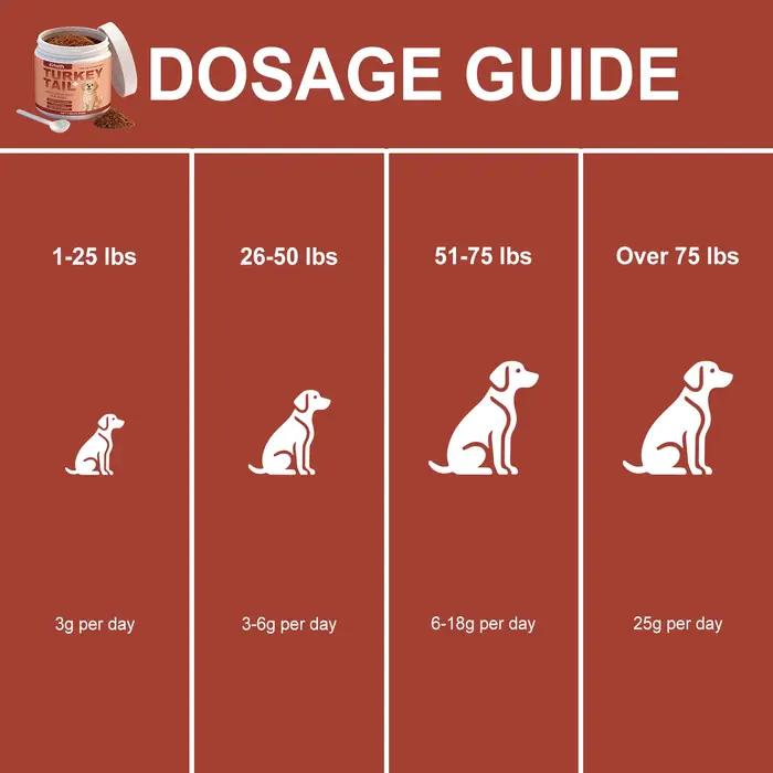 Poudre de complément nutritionnel pour chiens : Améliore la vitalité de l'animal