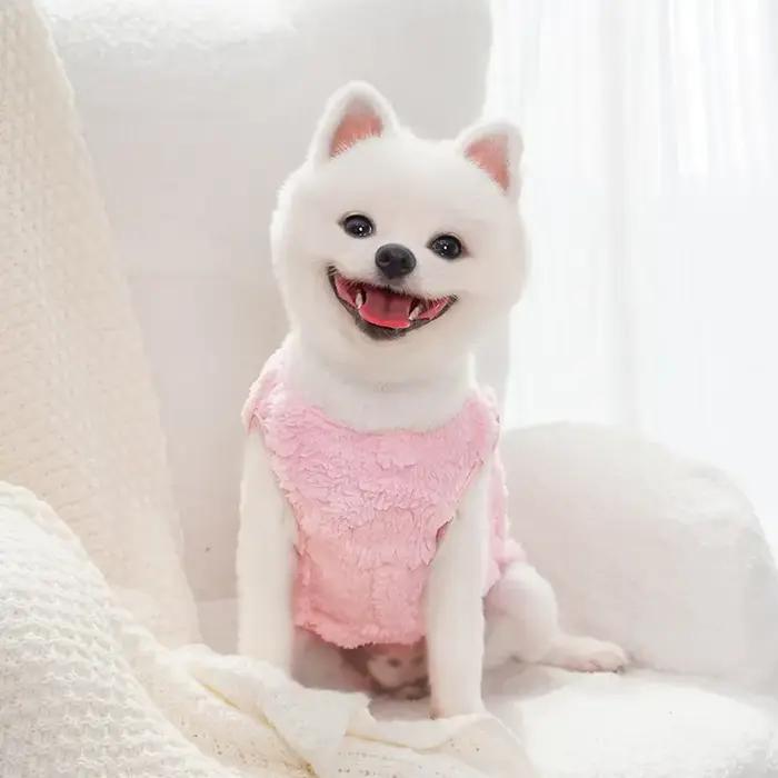 Vêtements d'hiver chauds pour petits chiens et chats