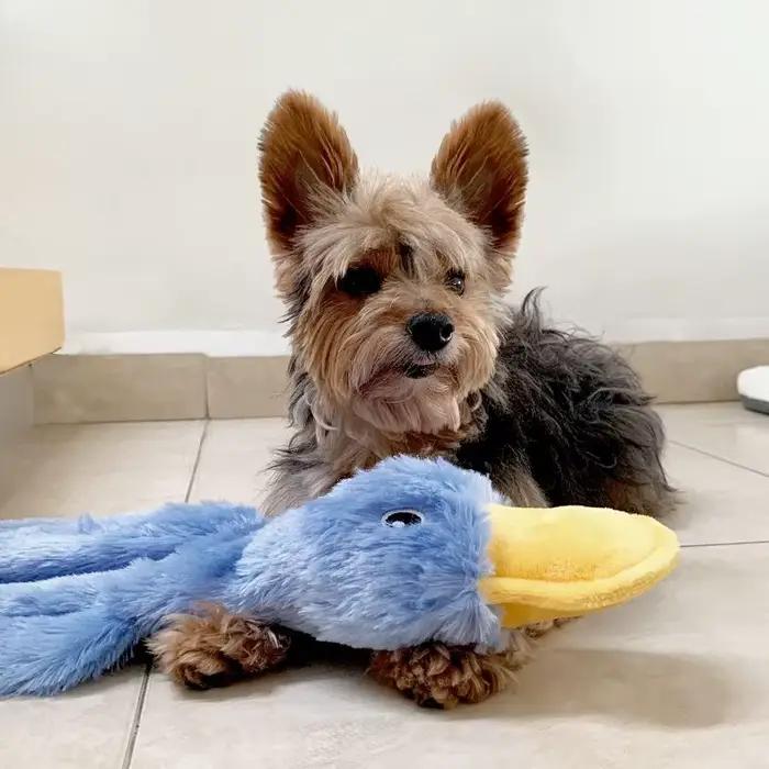 Meilleurs jouets interactifs pour chiens