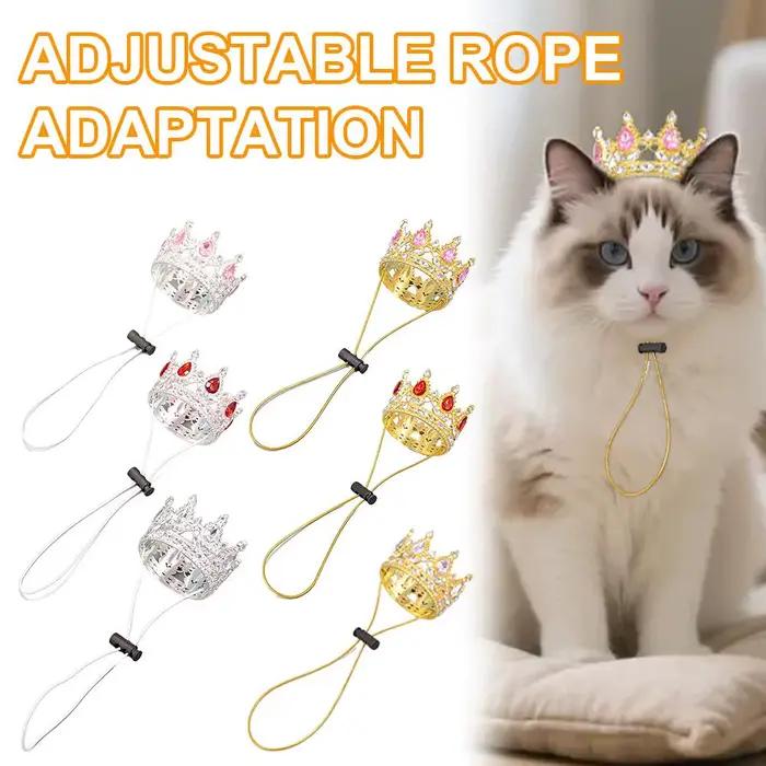 Chapeau Couronne pour Animaux de Compagnie