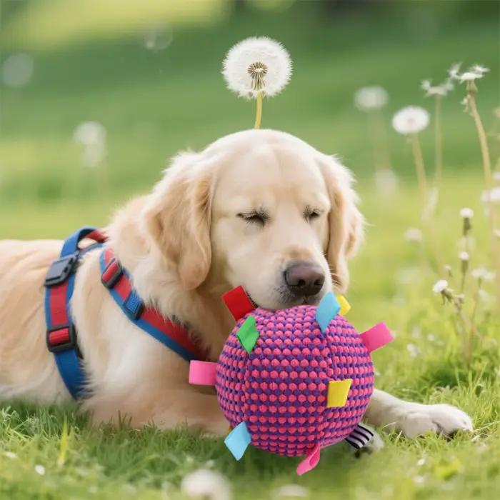 Jouet interactif pour chien