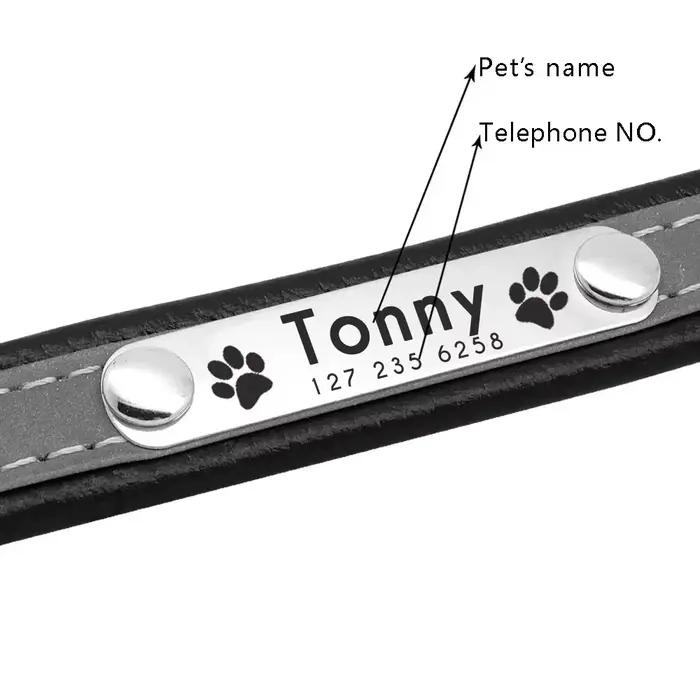 Collier réfléchissant pour animaux de compagnie avec nom personnalisé
