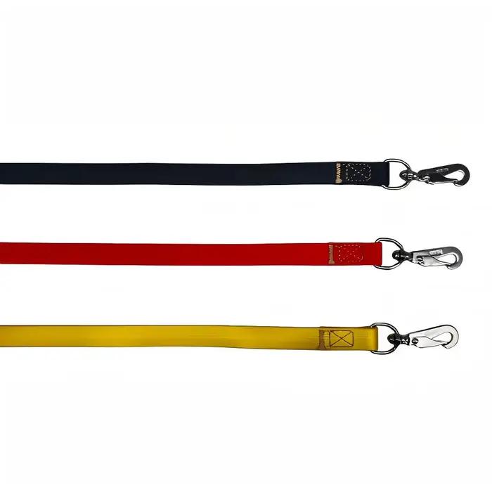 Laisse pour chien en silicone avec boucle en acier inoxydable