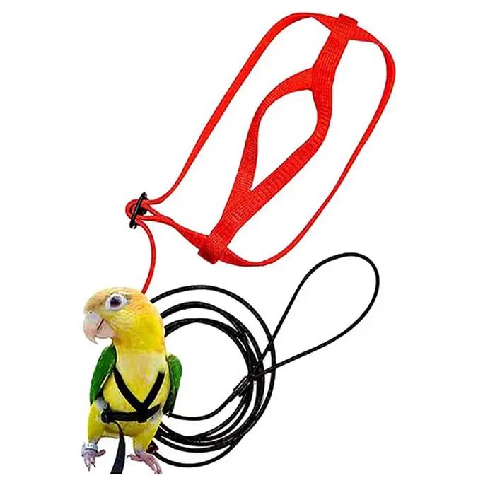 Corde de Traction Volante d'Entraînement Anti-Morsure, Laisse d'Oiseau, Perroquet, SFP