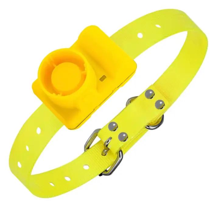 Collier de formation pour chien Rechargeable colliers de bip pour chien de chasse colliers de bip co