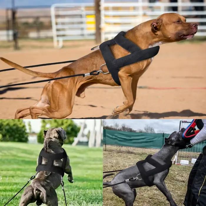 Harnais d'entraînement de traction de poids réglable pour chien, laisse de traction pour chiens de t