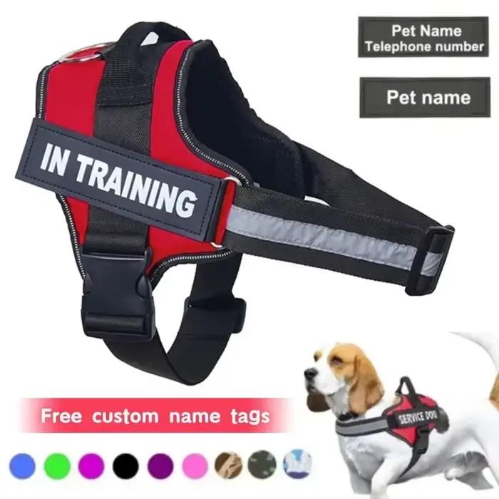Harnais pour chien personnalisé, réfléchissant et réglable, débardeur, étiquette de nom personnalisé