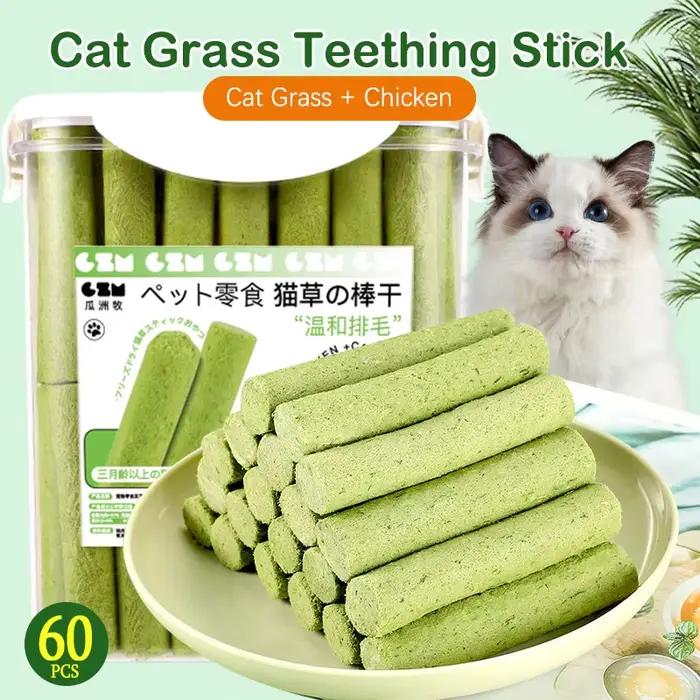 60 bâtons de meulage des dents d'herbe de chat, collations pour animaux de compagnie, élimination de