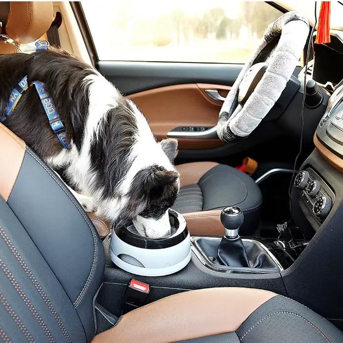 Bols flottants pour chiens de compagnie, bouche non mouillante, bol pour chat, sans déversement, dis
