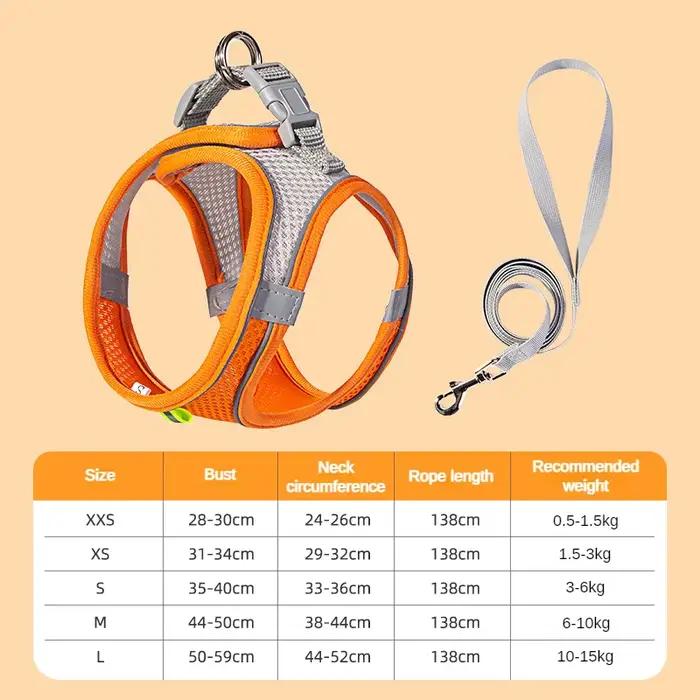 Ensemble d'accessoires réglables pour chiots et chats, collier pour petits chiens, laisse pour anima