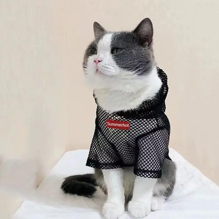 Sweat à capuche en maille pour chien, pull léger pour animaux de compagnie, vêtements pour petits et