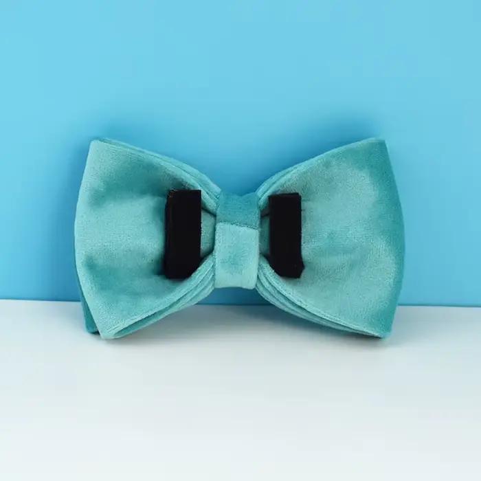 Ensemble collier et laisse pour chien en velours avec pierre turquoise, plaque nominative gravée sur