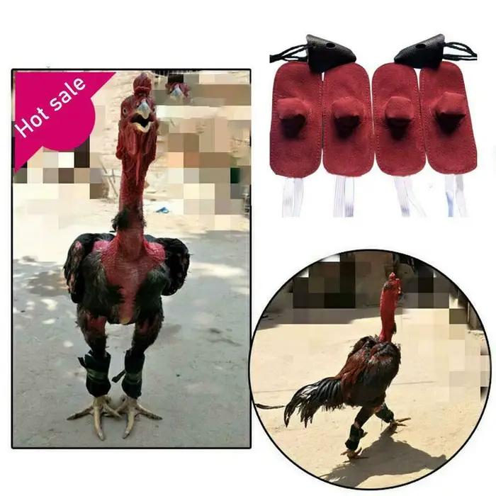 Gant de coq jetable pour la protection des animaux de la ferme, casque de poule, accessoires de coq,