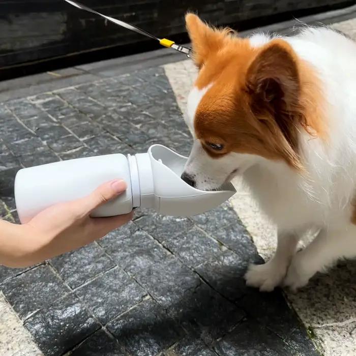Tasse d'eau pliante de voyage pour animaux de compagnie, Gel de silice, Mini chien de marche en plei