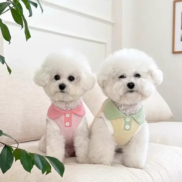 Vêtements d'été pour chiots, Polo pour petits chiens, chat, chien, gilet rafraîchissant, Chihuahua,