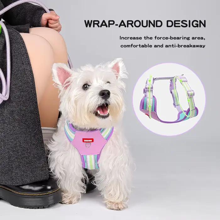 Harnais bloc de couleur pour petits chiens, marche, maille Corgi respirante, collier pour animaux de