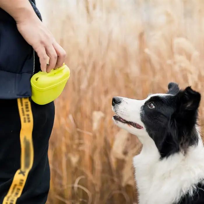 Sac banane portable pour chien, pour dressage, friandises, appâts, récompenses, alimentation, pour l